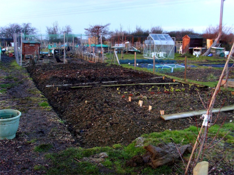 Allotment Heaven How to make a rat proof chicken feeder